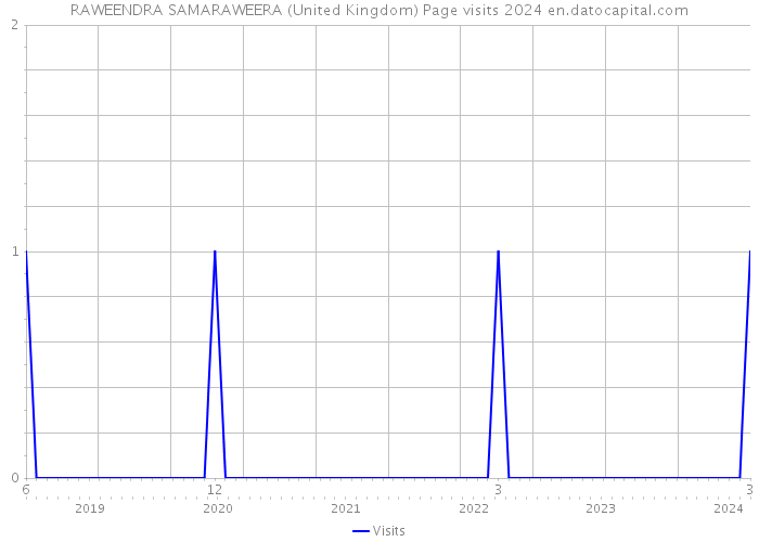 RAWEENDRA SAMARAWEERA (United Kingdom) Page visits 2024 
