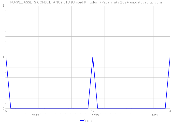 PURPLE ASSETS CONSULTANCY LTD (United Kingdom) Page visits 2024 