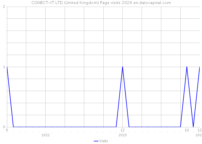CONECT-IT LTD (United Kingdom) Page visits 2024 