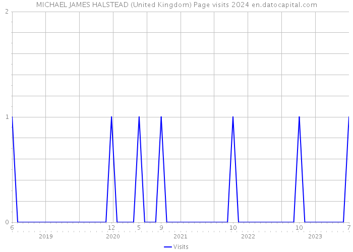 MICHAEL JAMES HALSTEAD (United Kingdom) Page visits 2024 