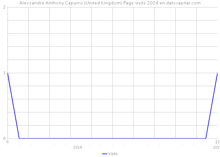 Alexzandre Anthony Capurro (United Kingdom) Page visits 2024 