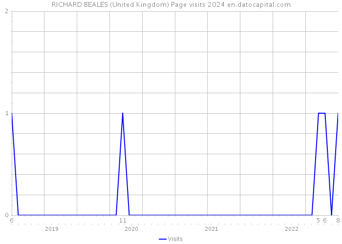 RICHARD BEALES (United Kingdom) Page visits 2024 
