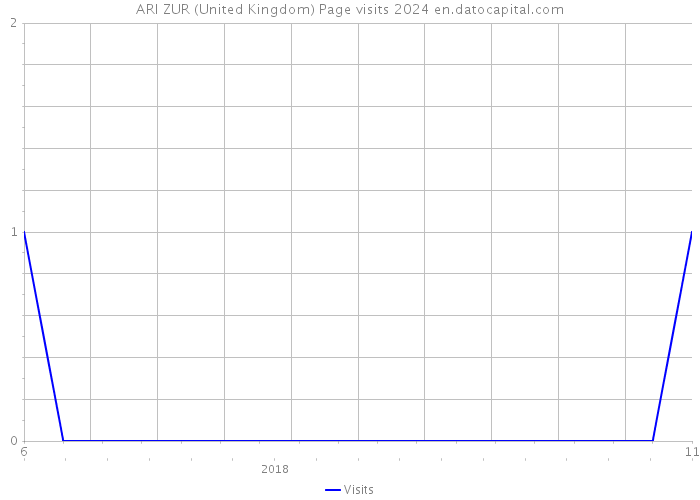 ARI ZUR (United Kingdom) Page visits 2024 