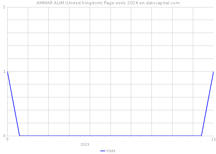 AMMAR ALIM (United Kingdom) Page visits 2024 