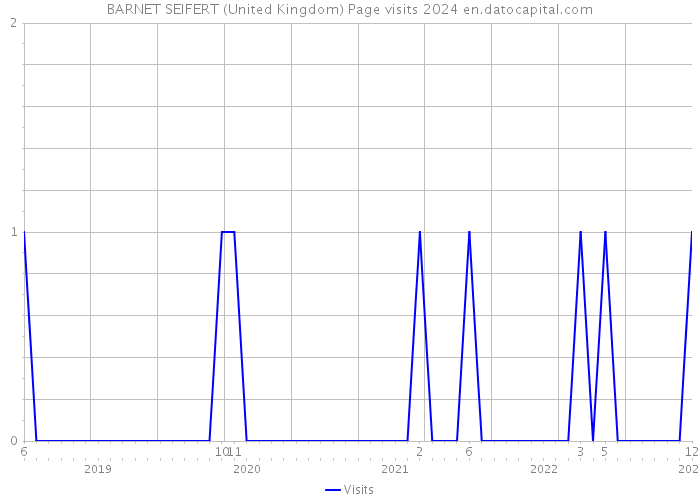 BARNET SEIFERT (United Kingdom) Page visits 2024 