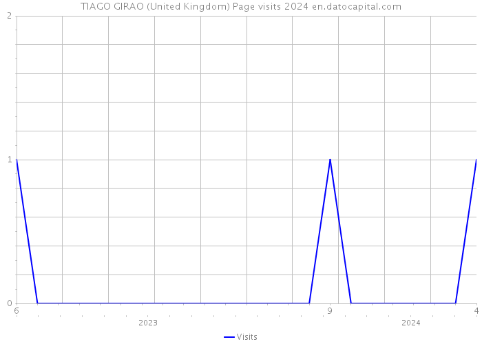 TIAGO GIRAO (United Kingdom) Page visits 2024 