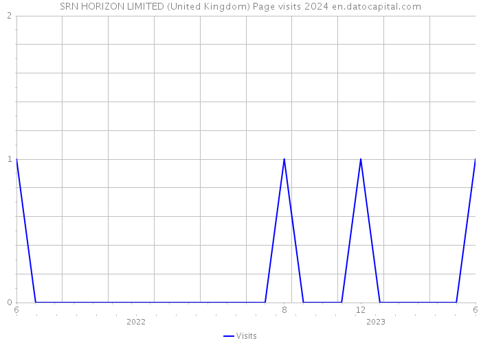 SRN HORIZON LIMITED (United Kingdom) Page visits 2024 