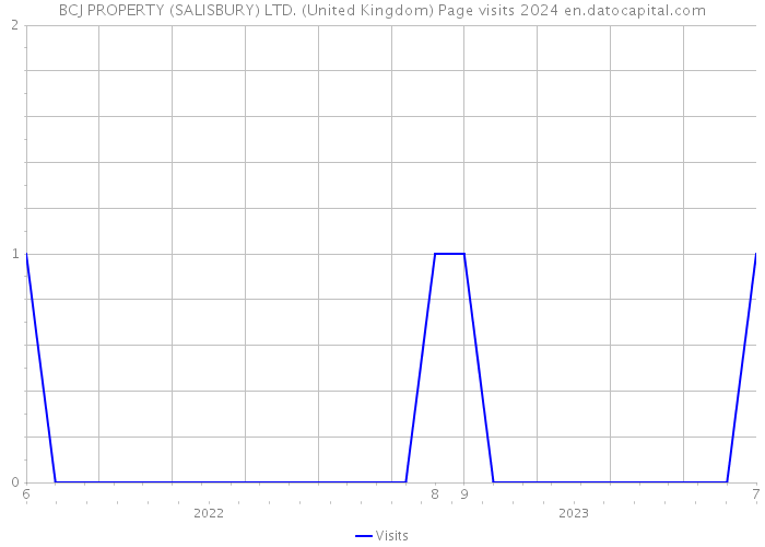 BCJ PROPERTY (SALISBURY) LTD. (United Kingdom) Page visits 2024 