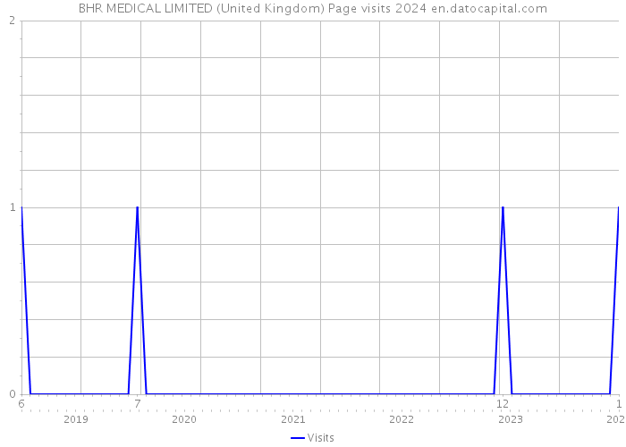 BHR MEDICAL LIMITED (United Kingdom) Page visits 2024 