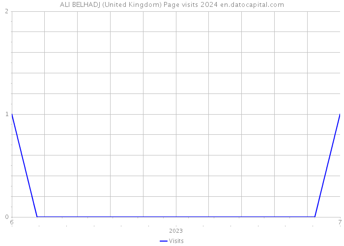 ALI BELHADJ (United Kingdom) Page visits 2024 
