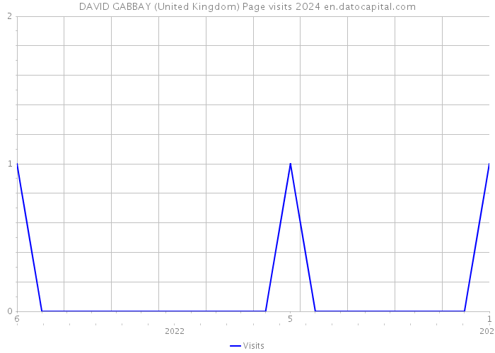 DAVID GABBAY (United Kingdom) Page visits 2024 