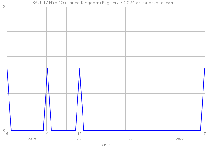 SAUL LANYADO (United Kingdom) Page visits 2024 