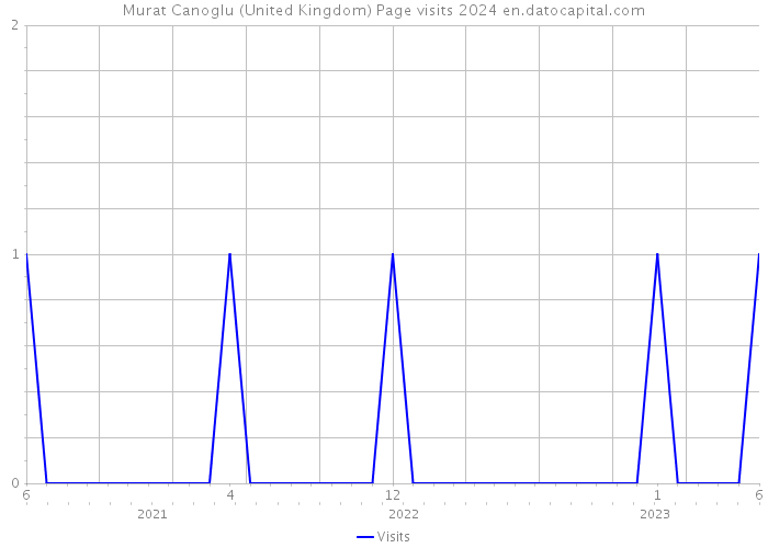 Murat Canoglu (United Kingdom) Page visits 2024 