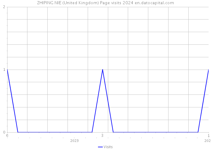 ZHIPING NIE (United Kingdom) Page visits 2024 