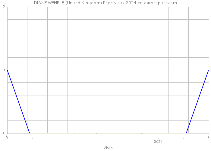 DIANE WEHRLE (United Kingdom) Page visits 2024 
