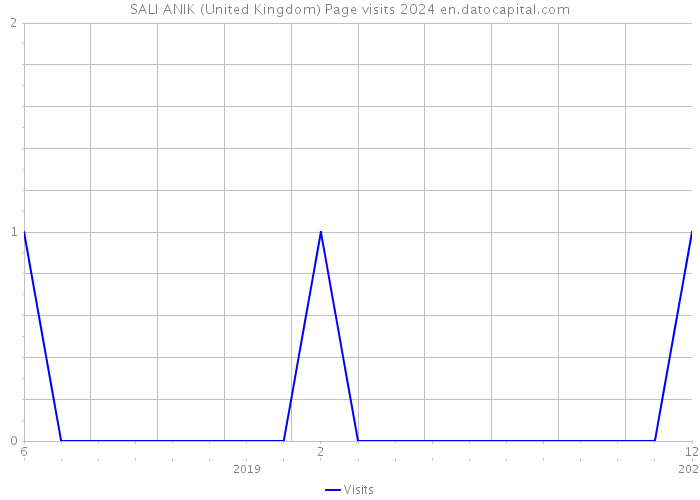 SALI ANIK (United Kingdom) Page visits 2024 