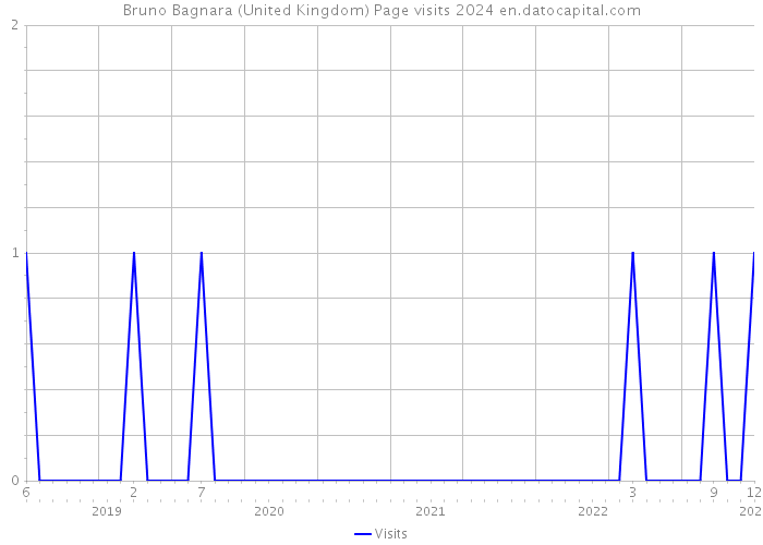 Bruno Bagnara (United Kingdom) Page visits 2024 