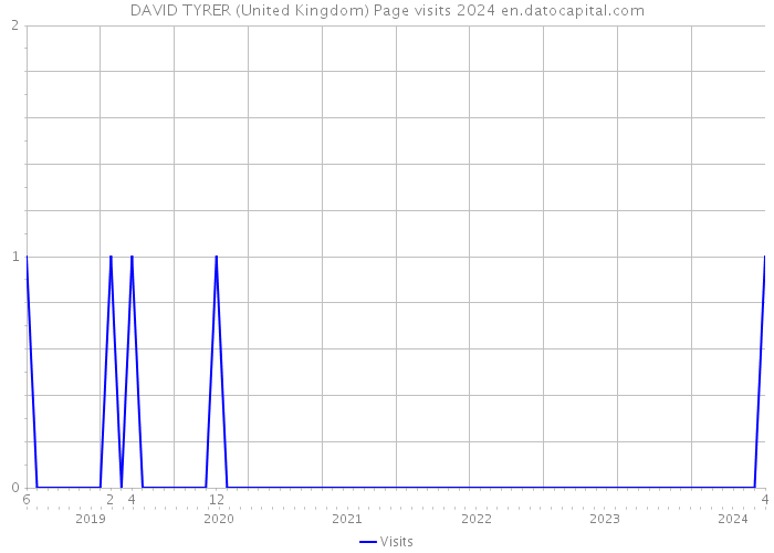 DAVID TYRER (United Kingdom) Page visits 2024 