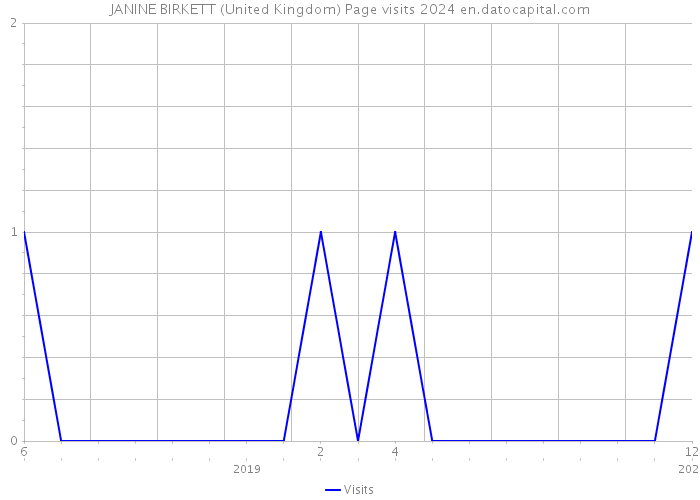 JANINE BIRKETT (United Kingdom) Page visits 2024 