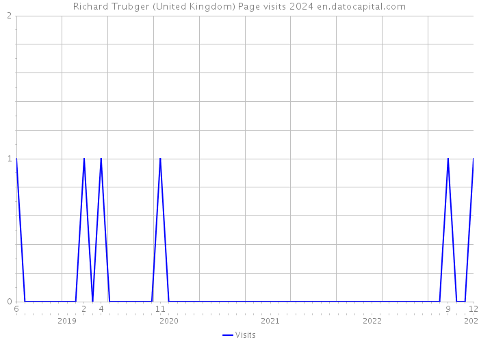 Richard Trubger (United Kingdom) Page visits 2024 