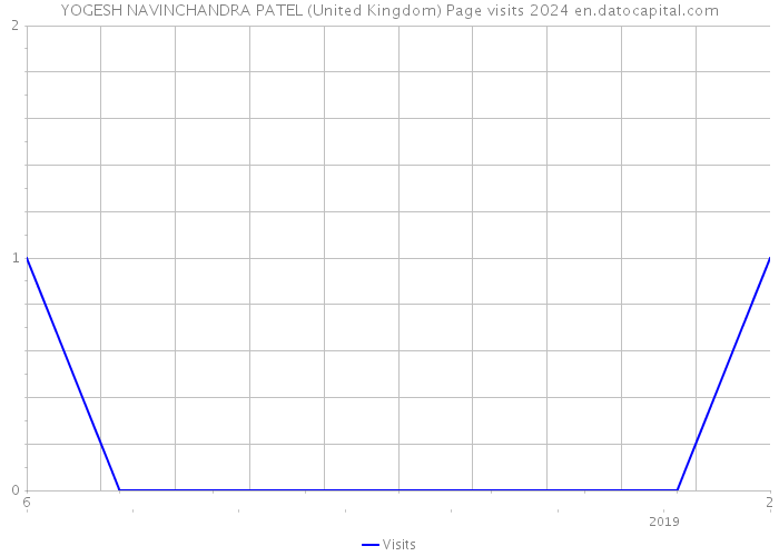 YOGESH NAVINCHANDRA PATEL (United Kingdom) Page visits 2024 