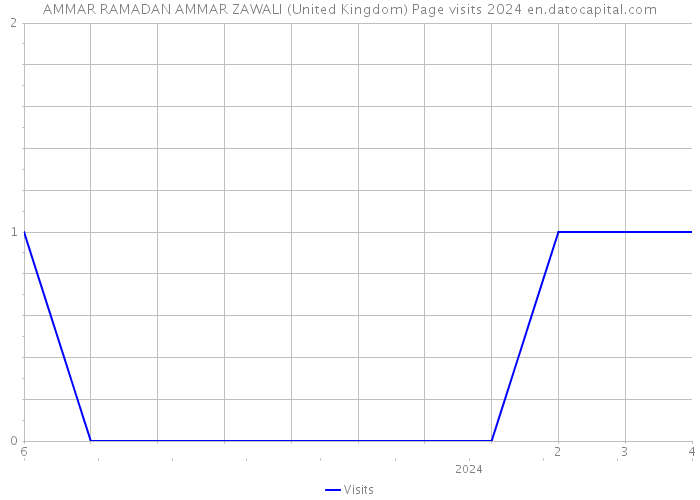 AMMAR RAMADAN AMMAR ZAWALI (United Kingdom) Page visits 2024 