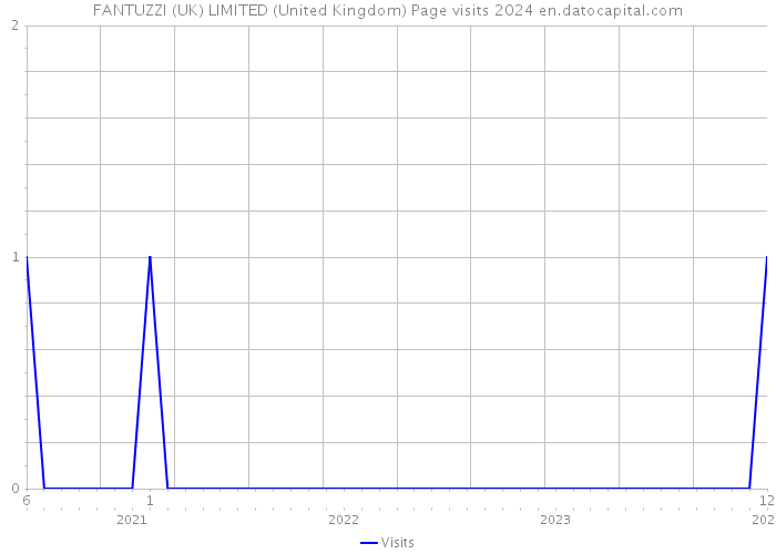 FANTUZZI (UK) LIMITED (United Kingdom) Page visits 2024 