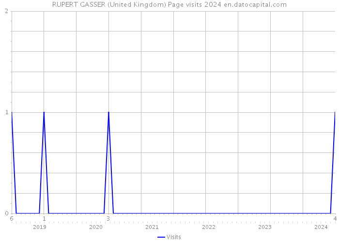 RUPERT GASSER (United Kingdom) Page visits 2024 