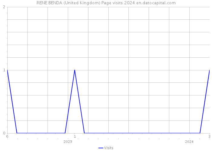 RENE BENDA (United Kingdom) Page visits 2024 