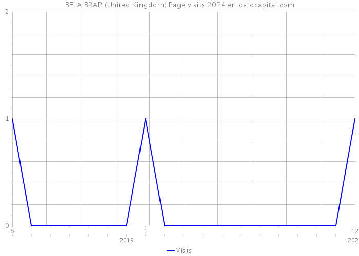 BELA BRAR (United Kingdom) Page visits 2024 
