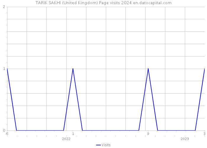 TARIK SAKHI (United Kingdom) Page visits 2024 