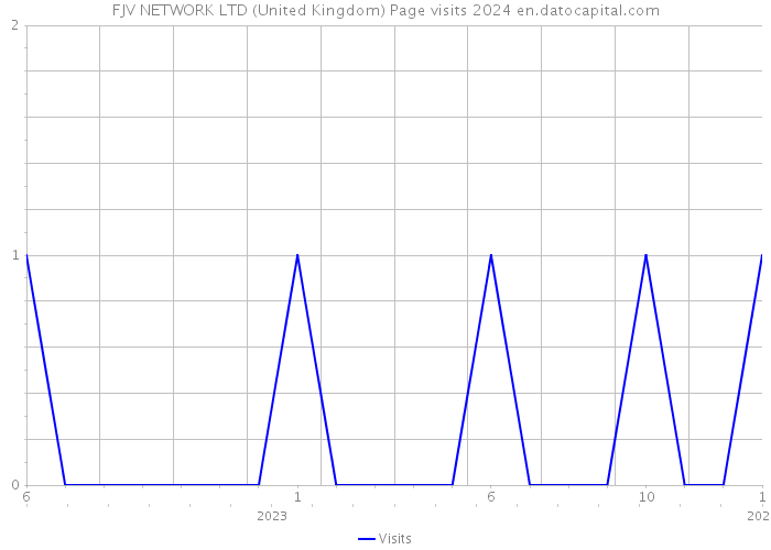 FJV NETWORK LTD (United Kingdom) Page visits 2024 