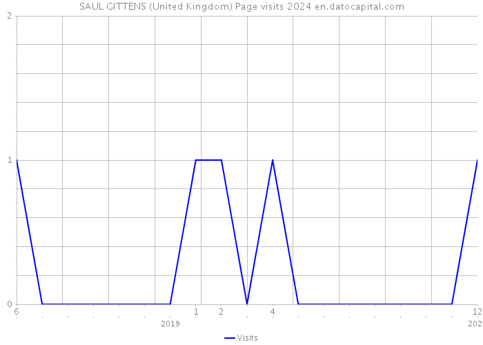SAUL GITTENS (United Kingdom) Page visits 2024 