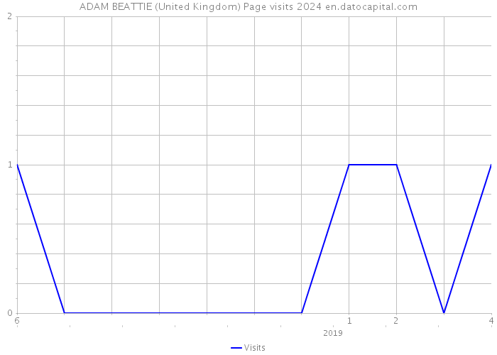 ADAM BEATTIE (United Kingdom) Page visits 2024 