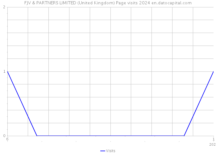 FJV & PARTNERS LIMITED (United Kingdom) Page visits 2024 