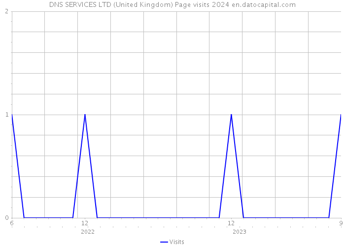 DNS SERVICES LTD (United Kingdom) Page visits 2024 