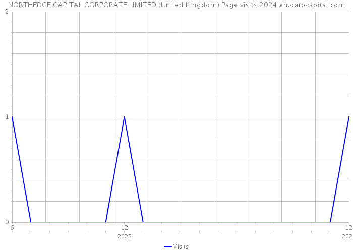 NORTHEDGE CAPITAL CORPORATE LIMITED (United Kingdom) Page visits 2024 