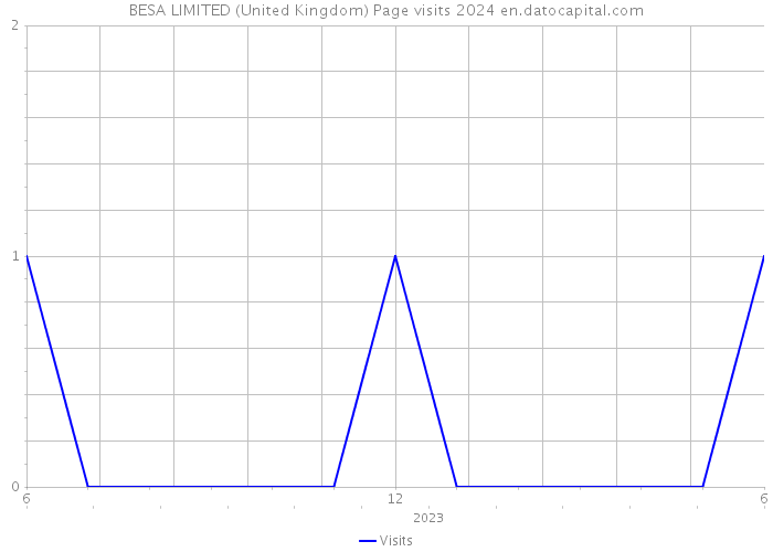 BESA LIMITED (United Kingdom) Page visits 2024 