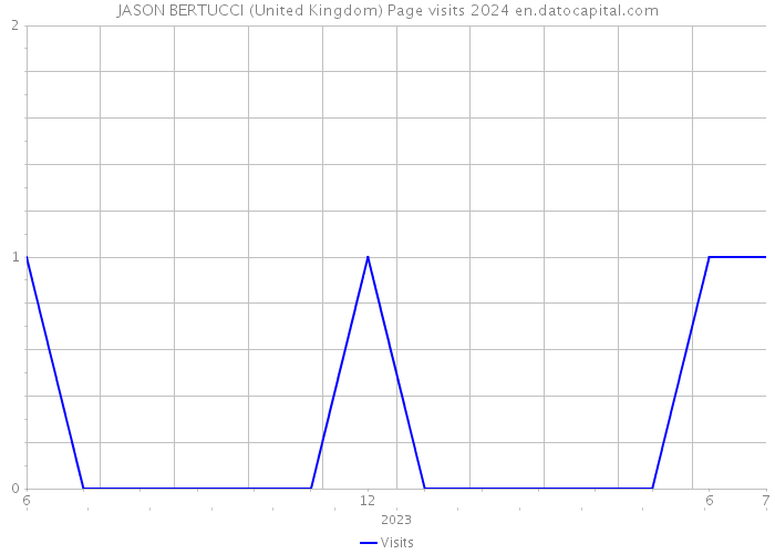JASON BERTUCCI (United Kingdom) Page visits 2024 