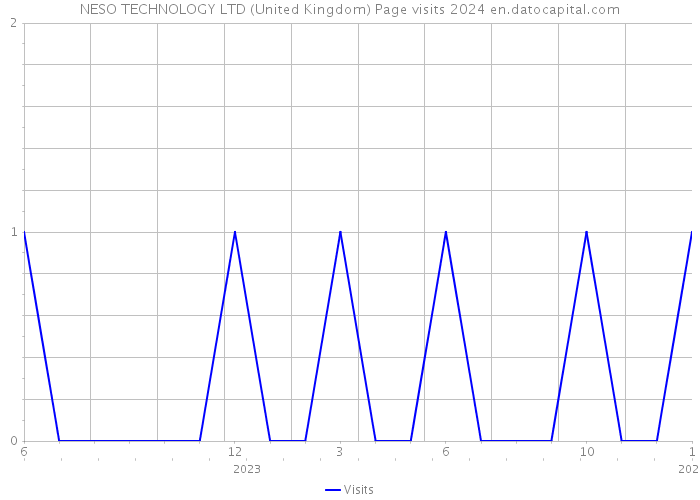 NESO TECHNOLOGY LTD (United Kingdom) Page visits 2024 