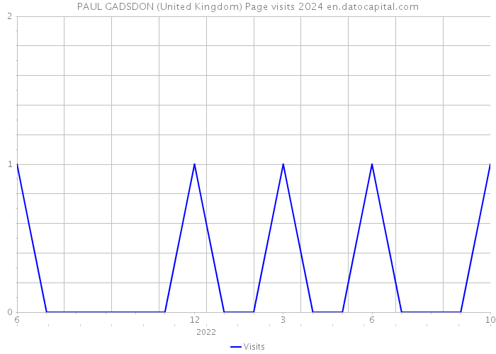 PAUL GADSDON (United Kingdom) Page visits 2024 