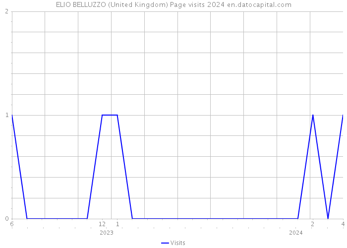 ELIO BELLUZZO (United Kingdom) Page visits 2024 