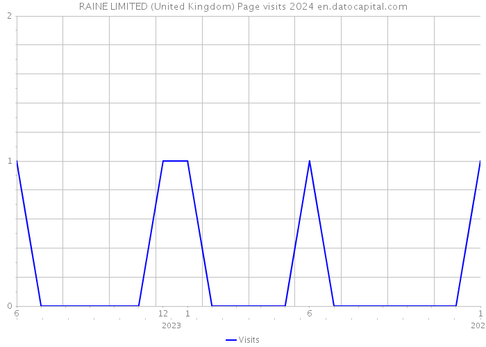 RAINE LIMITED (United Kingdom) Page visits 2024 
