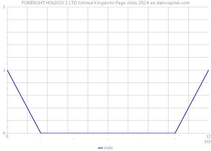FORESIGHT HOLDCO 2 LTD (United Kingdom) Page visits 2024 