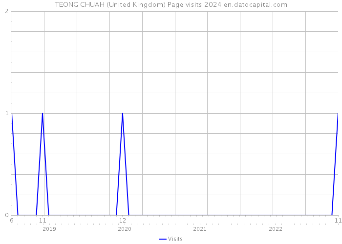TEONG CHUAH (United Kingdom) Page visits 2024 
