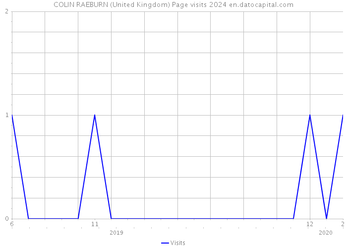 COLIN RAEBURN (United Kingdom) Page visits 2024 