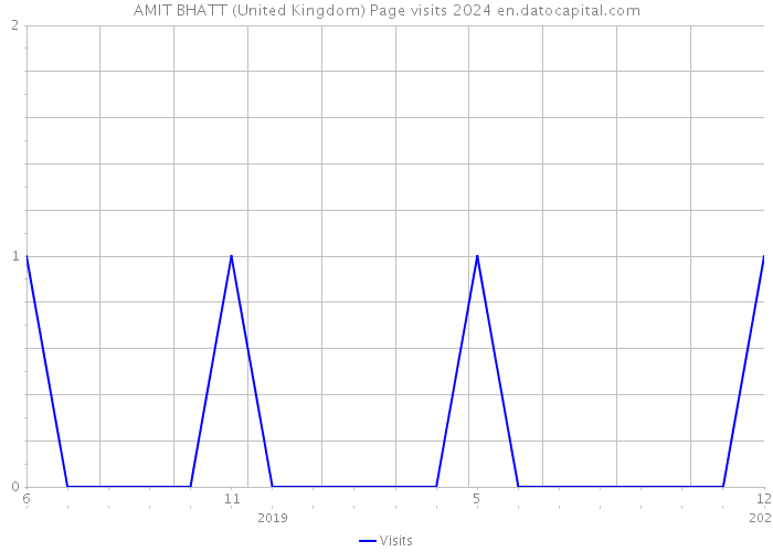 AMIT BHATT (United Kingdom) Page visits 2024 