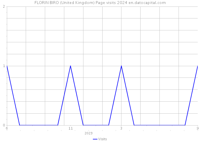 FLORIN BIRO (United Kingdom) Page visits 2024 