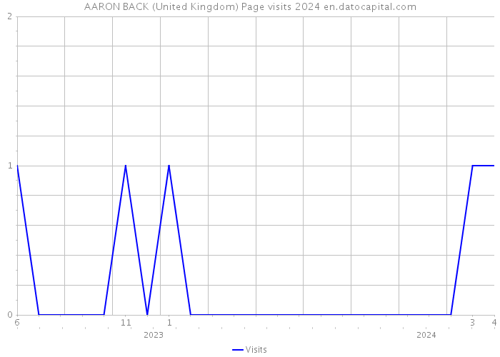 AARON BACK (United Kingdom) Page visits 2024 