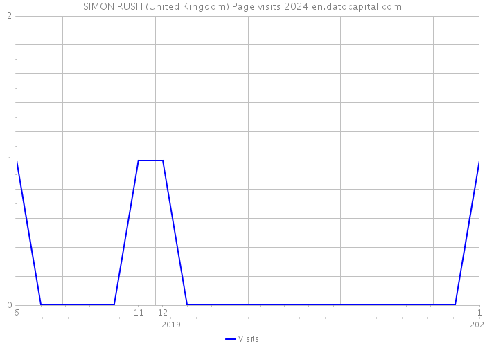 SIMON RUSH (United Kingdom) Page visits 2024 